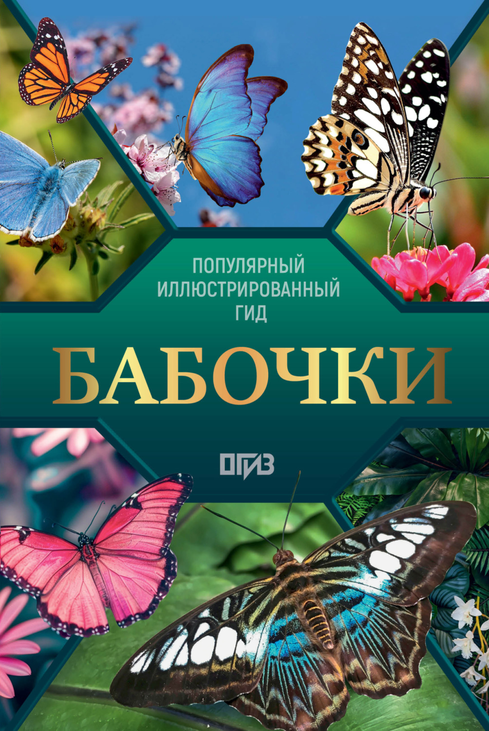 Обложка книги «Бабочки. Иллюстрированный гид»