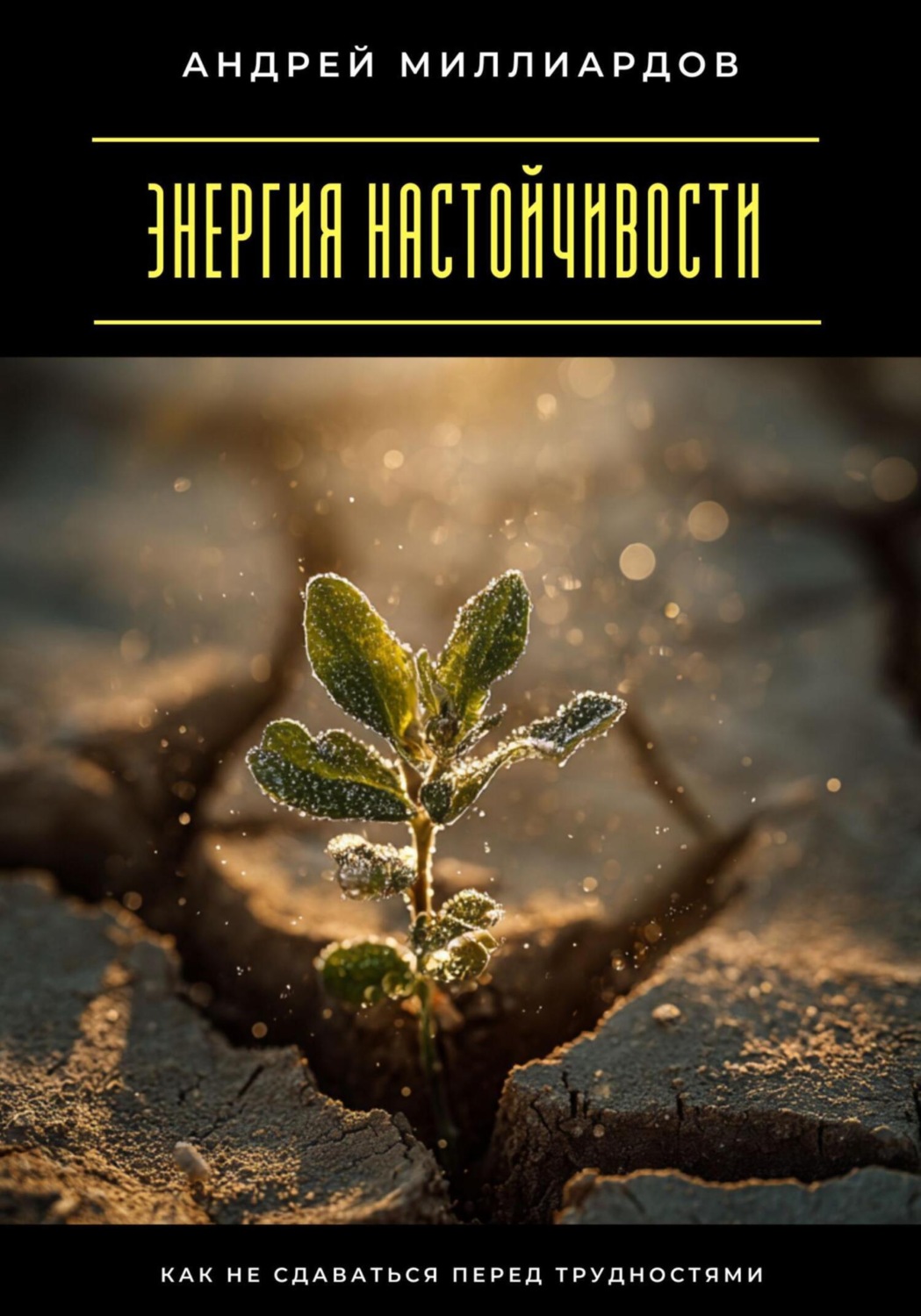 Обложка книги «Энергия настойчивости. Как не сдаваться перед трудностями»