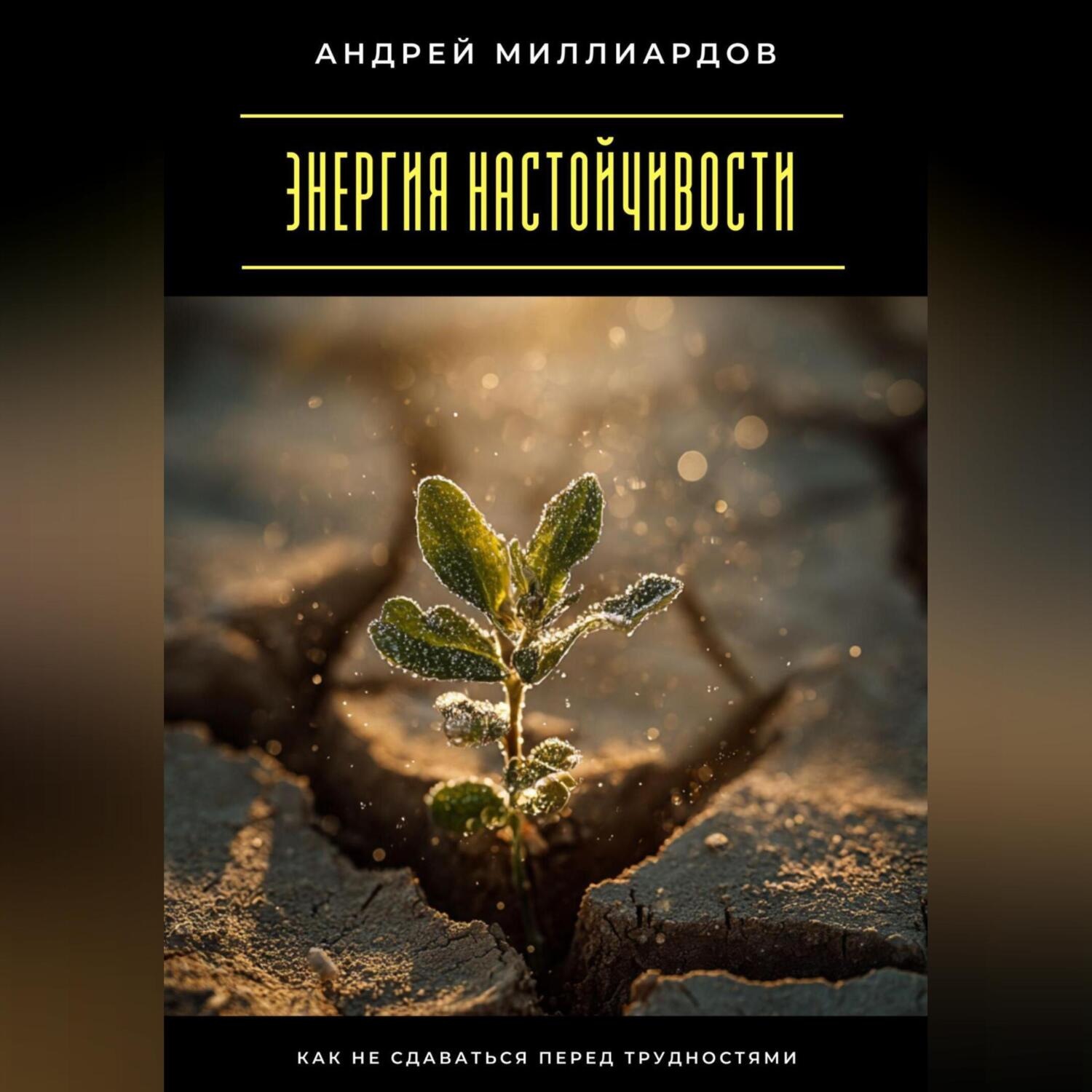Обложка книги «Энергия настойчивости. Как не сдаваться перед трудностями»