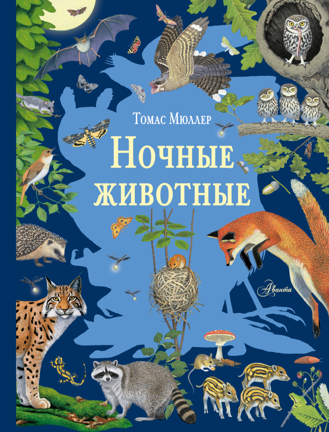 Обложка книги «Ночные животные»