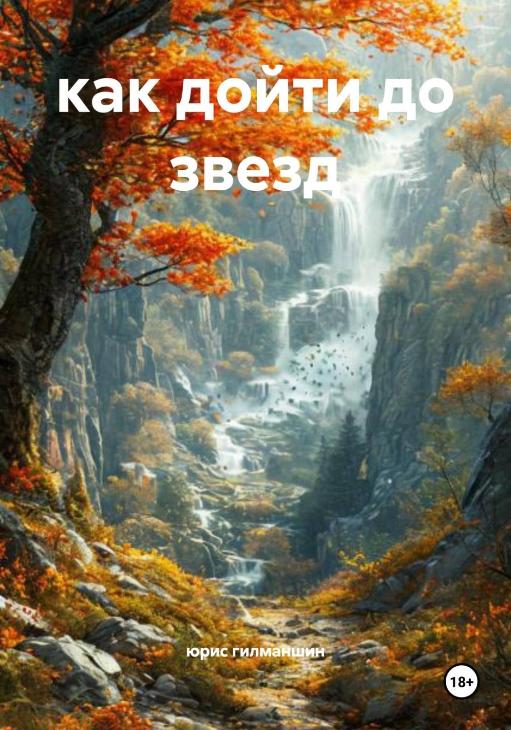 Обложка книги «как дойти до звезд»