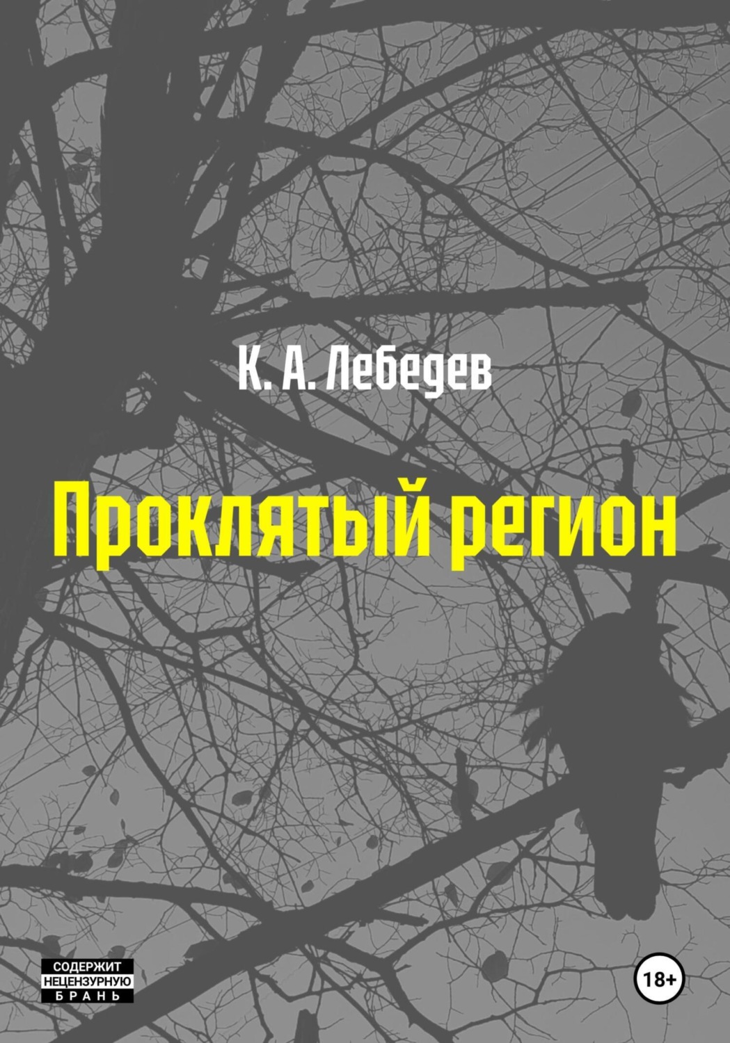 Обложка книги «Проклятый регион»