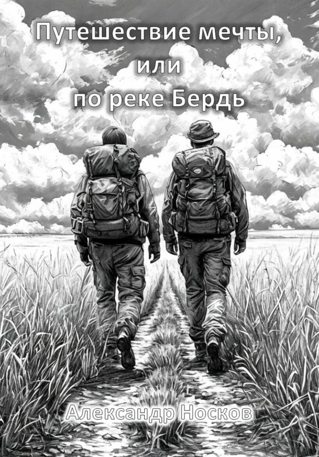 Обложка книги «Путешествие мечты, или по реке Бердь»