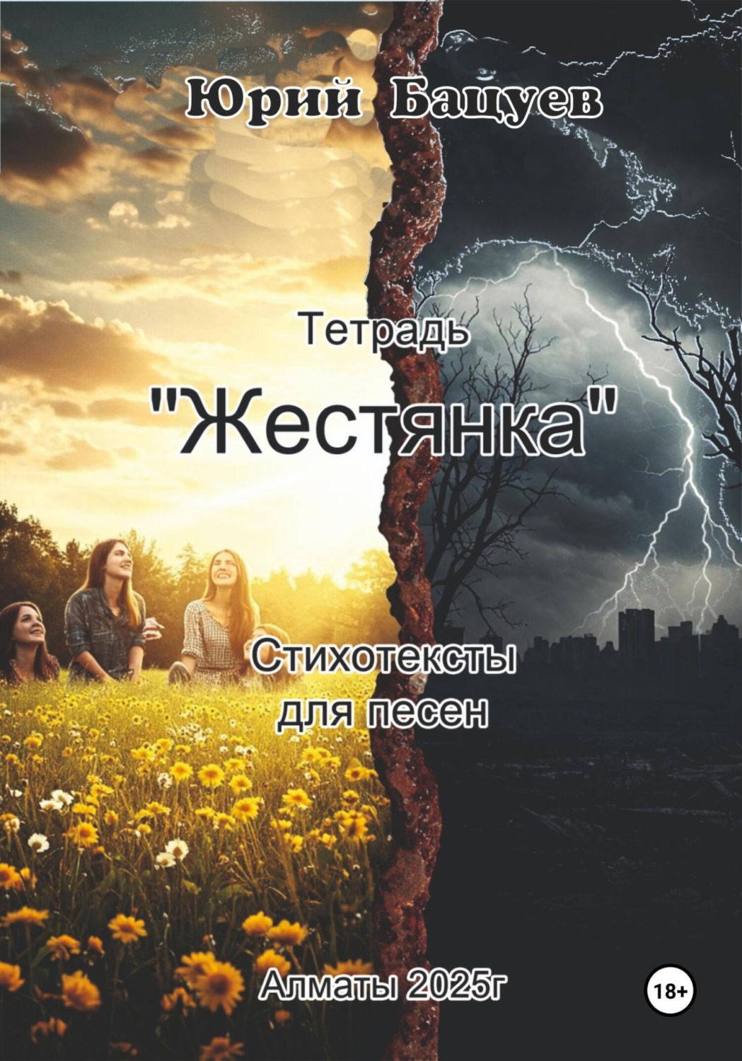 Обложка книги «Тетрадь «Жестянка»»