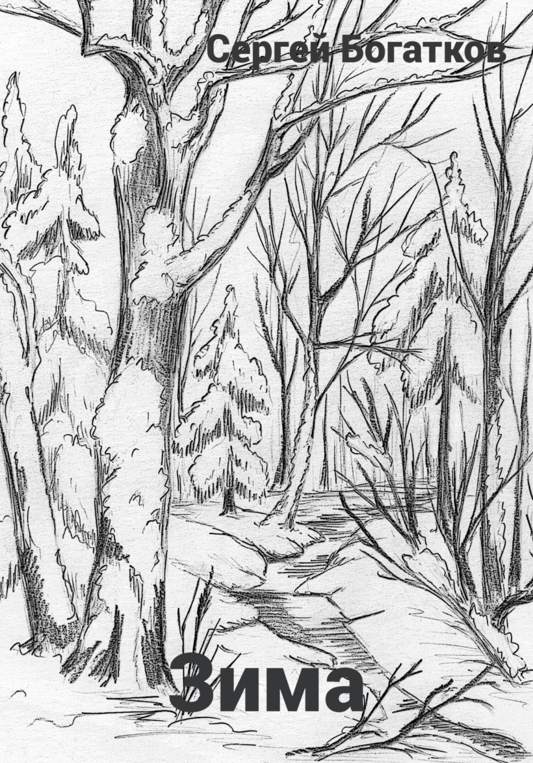 Обложка книги «Зима»