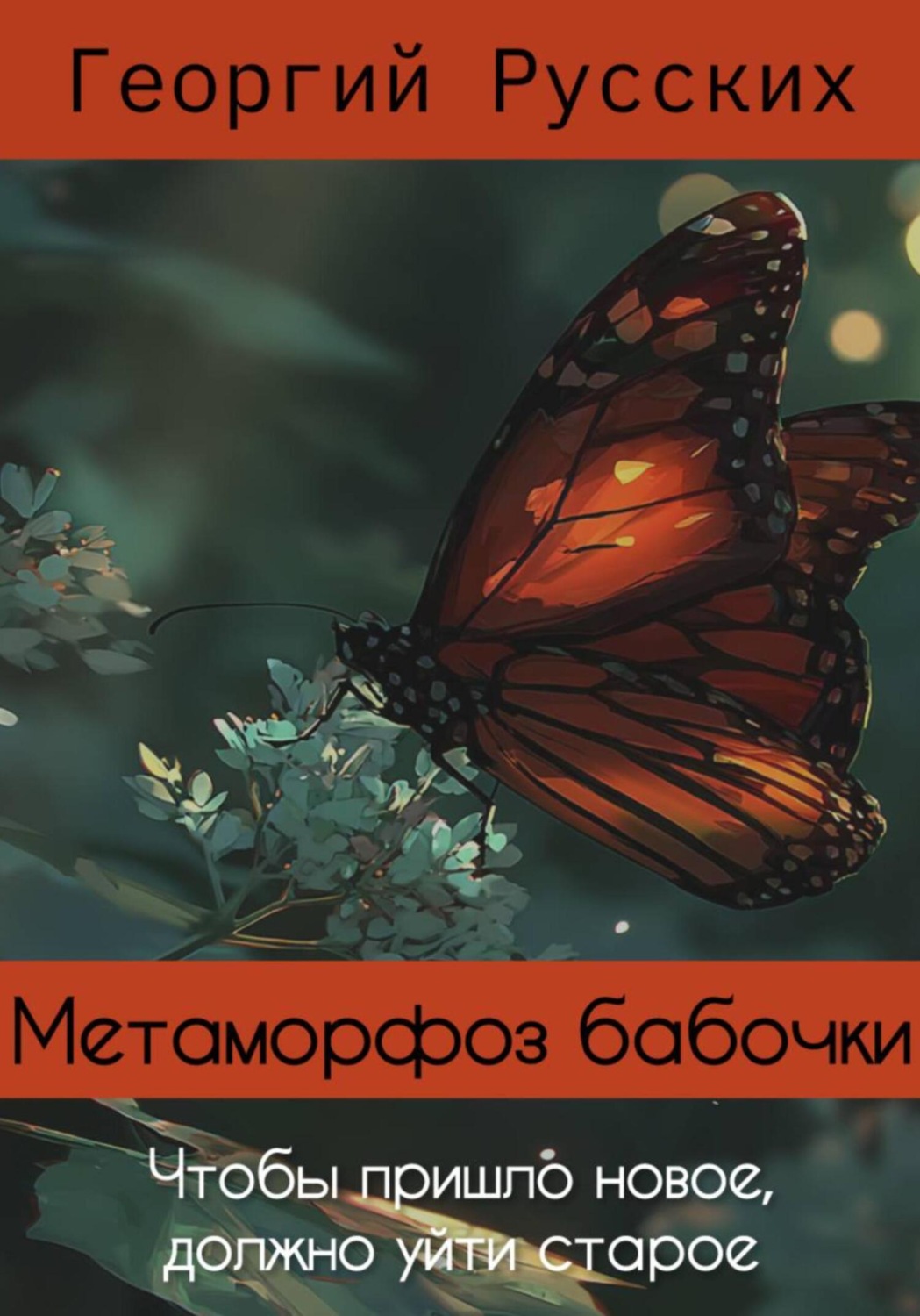 Обложка книги «Метаморфоз бабочки»