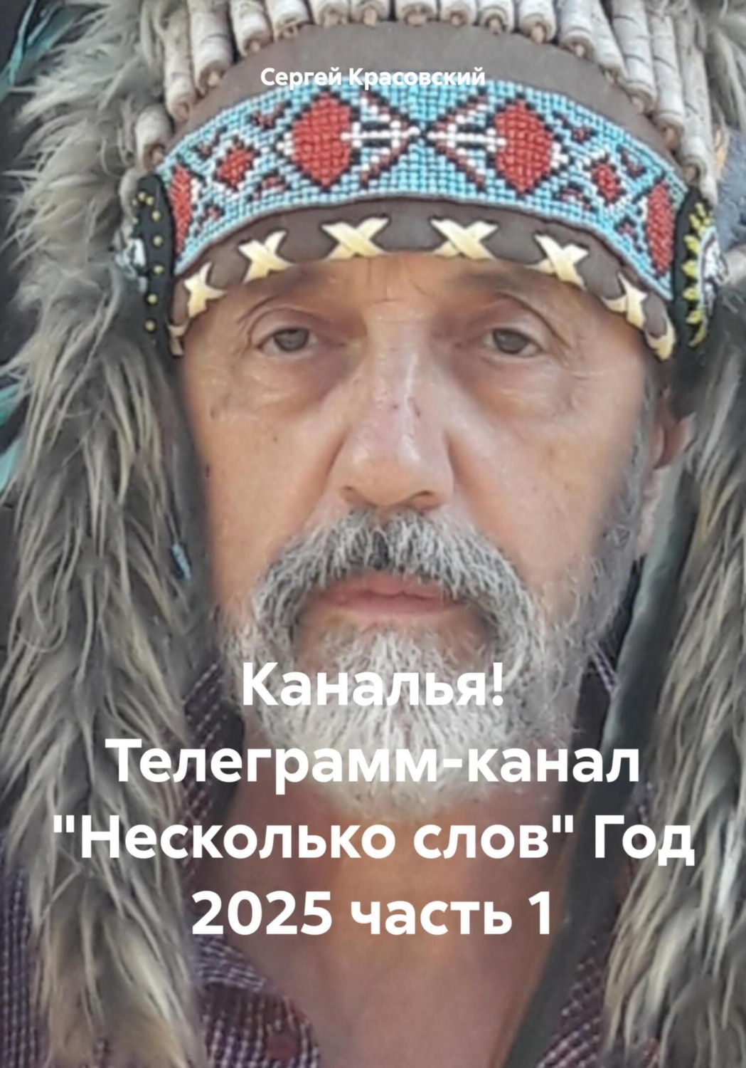 Обложка книги «Каналья! Телеграмм-канал «Несколько слов» Год 2025 часть 1»