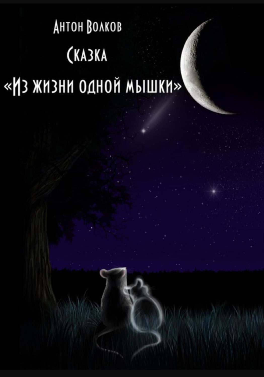 Обложка книги «Из жизни одной мышки»