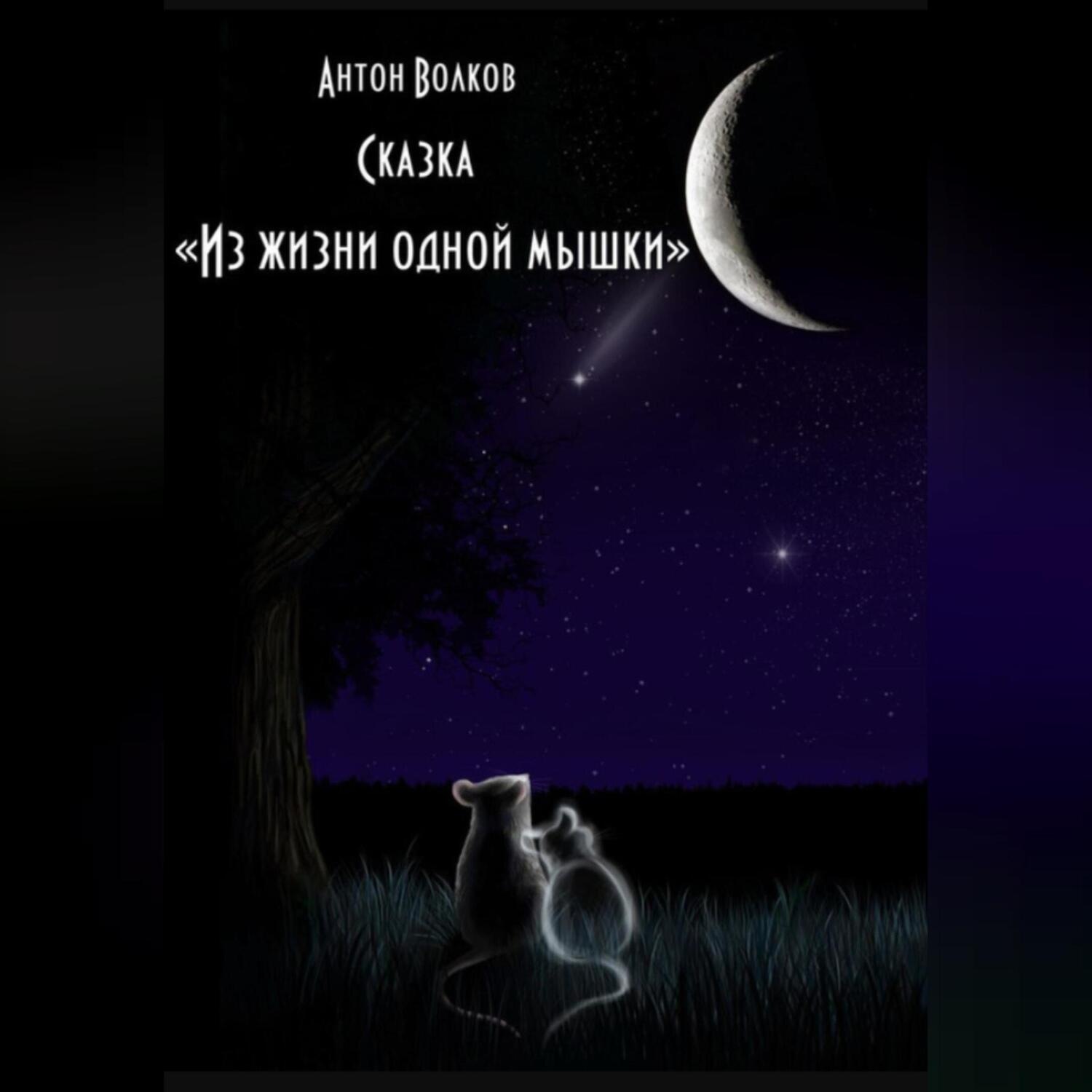 Обложка книги «Из жизни одной мышки»