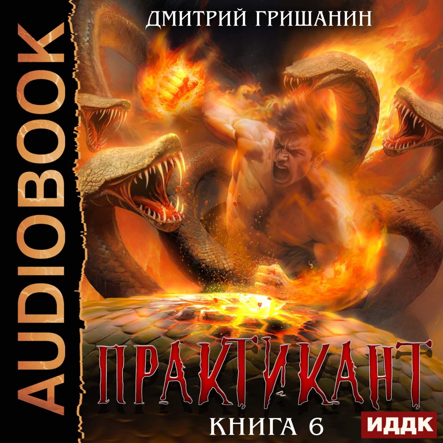 Обложка книги «Практикант. Книга 6»