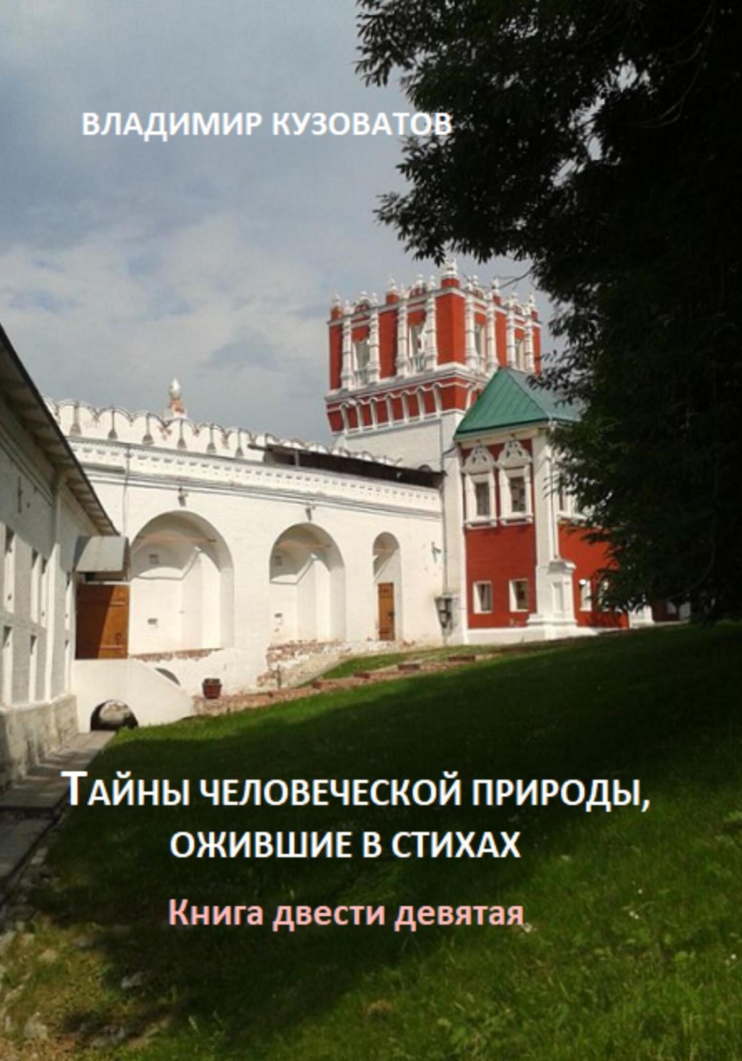 Обложка книги «Тайны человеческой природы, ожившие в стихах. Книга двести девятая»