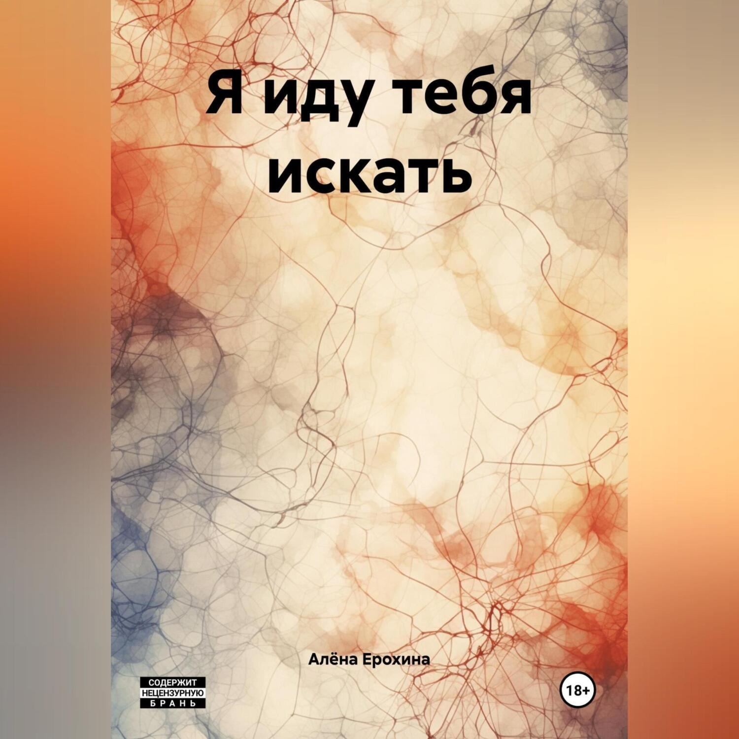 Обложка книги «Я иду тебя искать»
