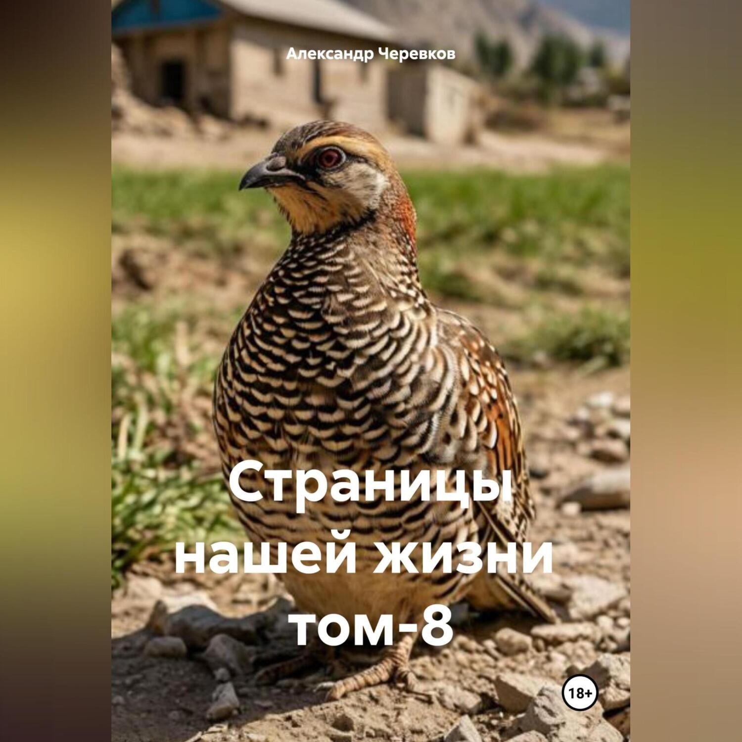 Обложка книги «Страницы нашей жизни том-8»