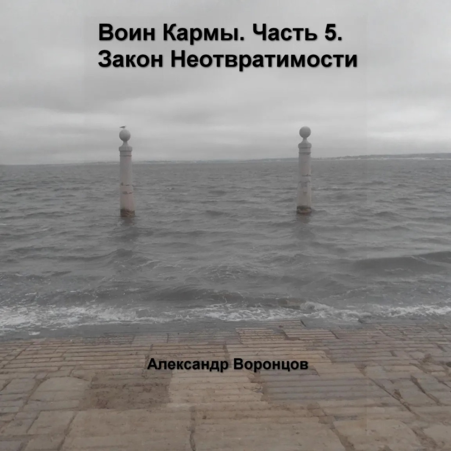 Обложка книги «Воин Кармы. Часть 5. Закон Неотвратимости»