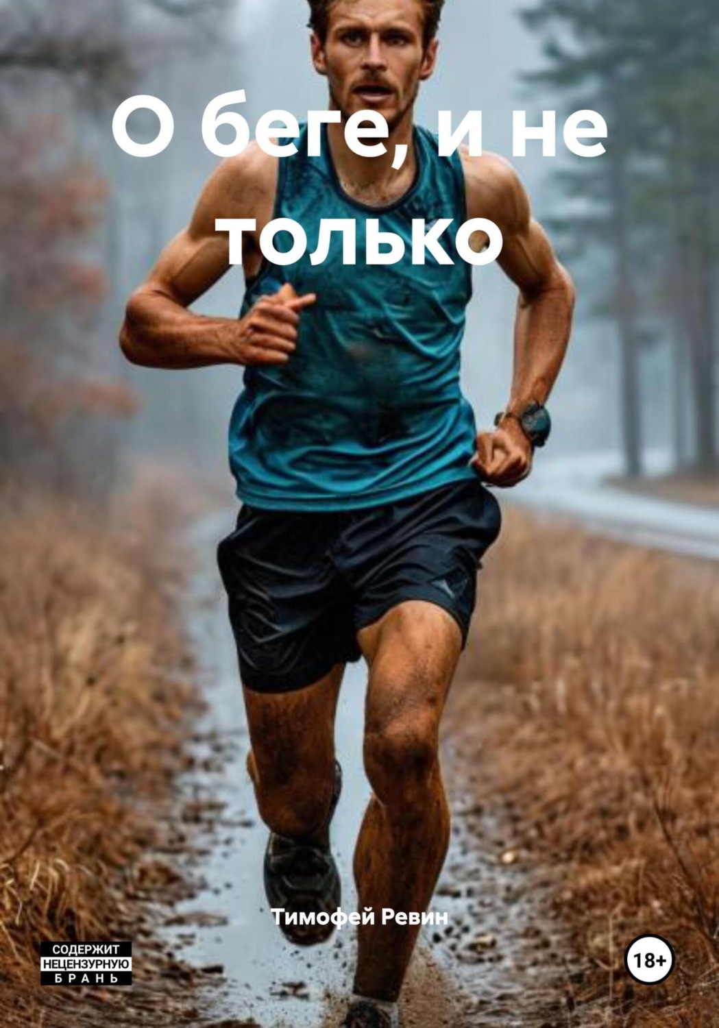 Обложка книги «О беге, и не только»