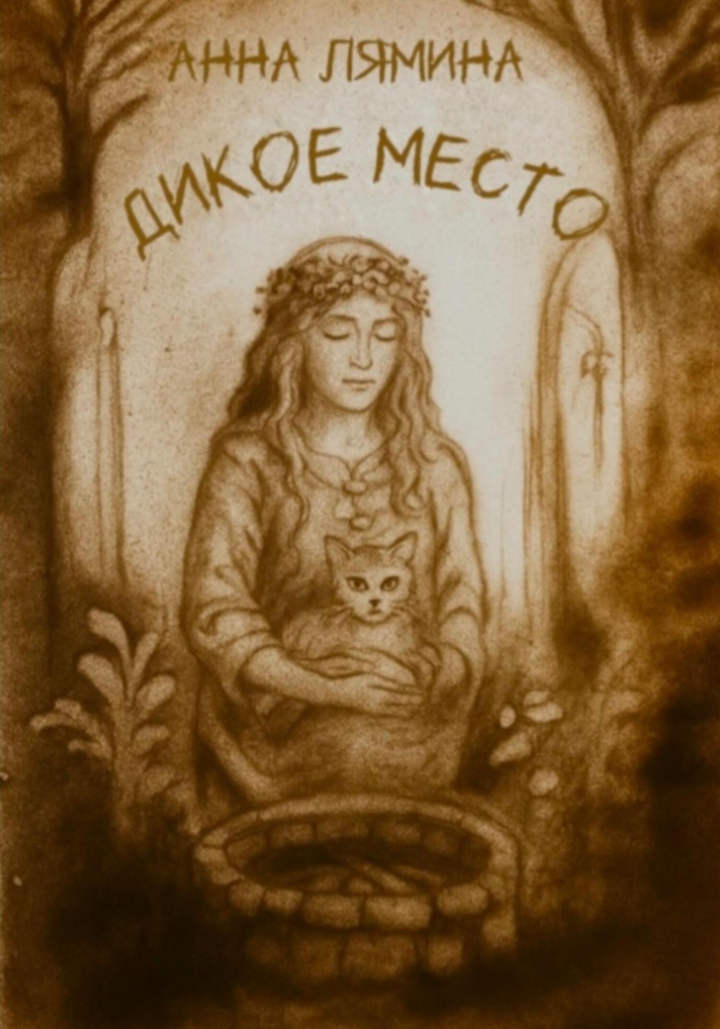 Обложка книги «Дикое место»