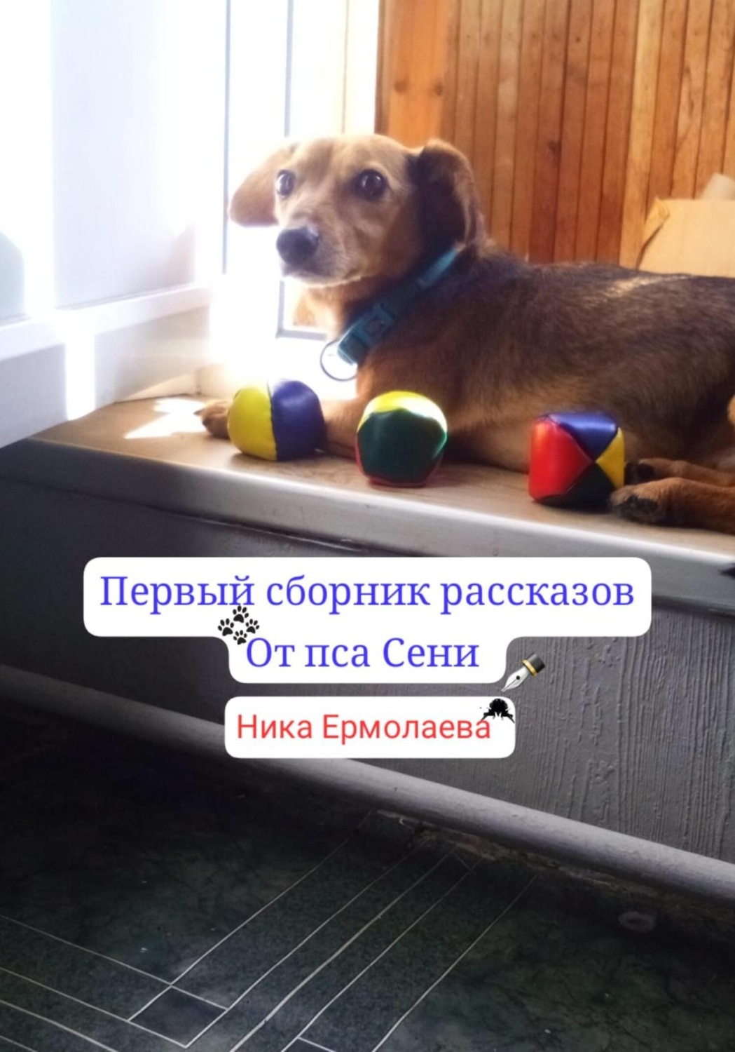 Обложка книги «Первый сборник рассказов от пса Сени»