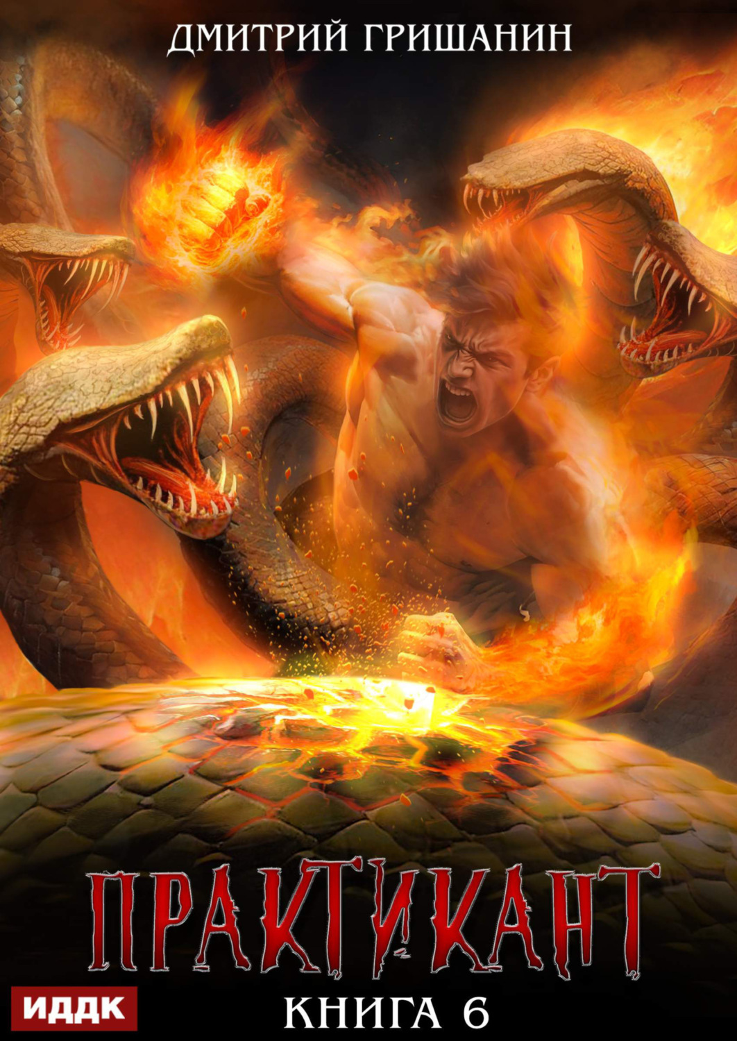 Обложка книги «Практикант. Книга 6»