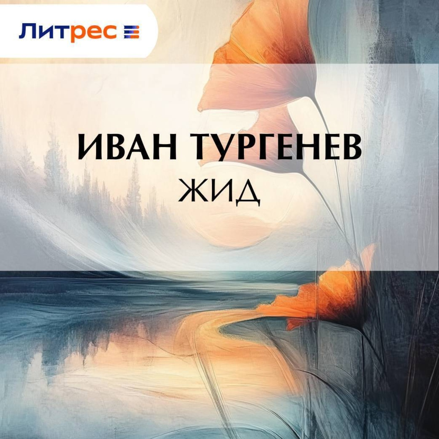 Обложка книги «Жид»