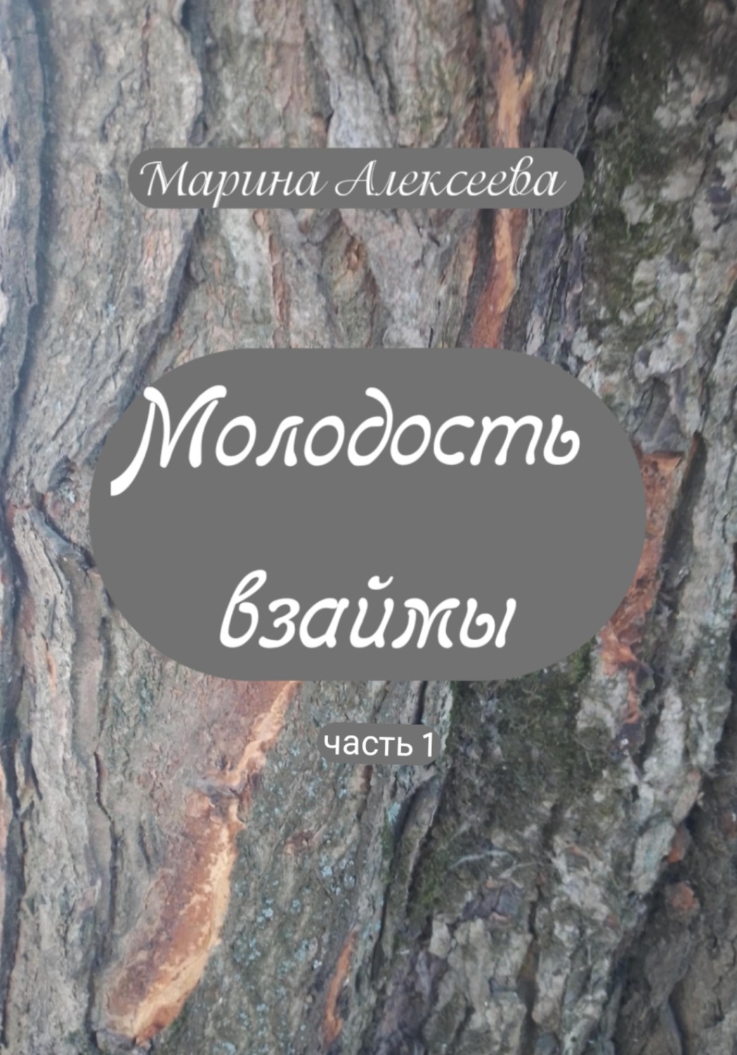 Обложка книги «Молодость взаймы»