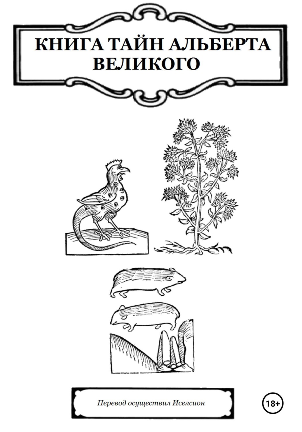 Обложка книги «Книга Тайн Альберта Великого»