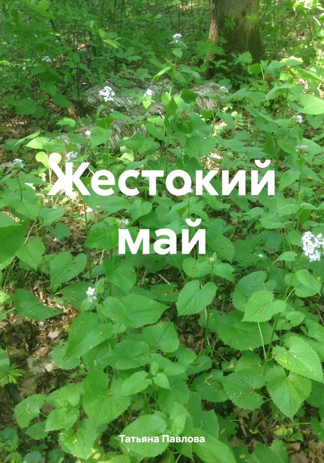 Обложка книги «Жестокий май»