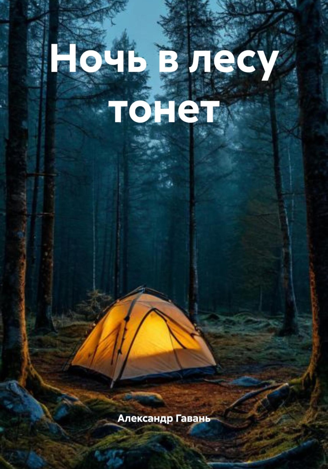 Обложка книги «Ночь в лесу тонет»