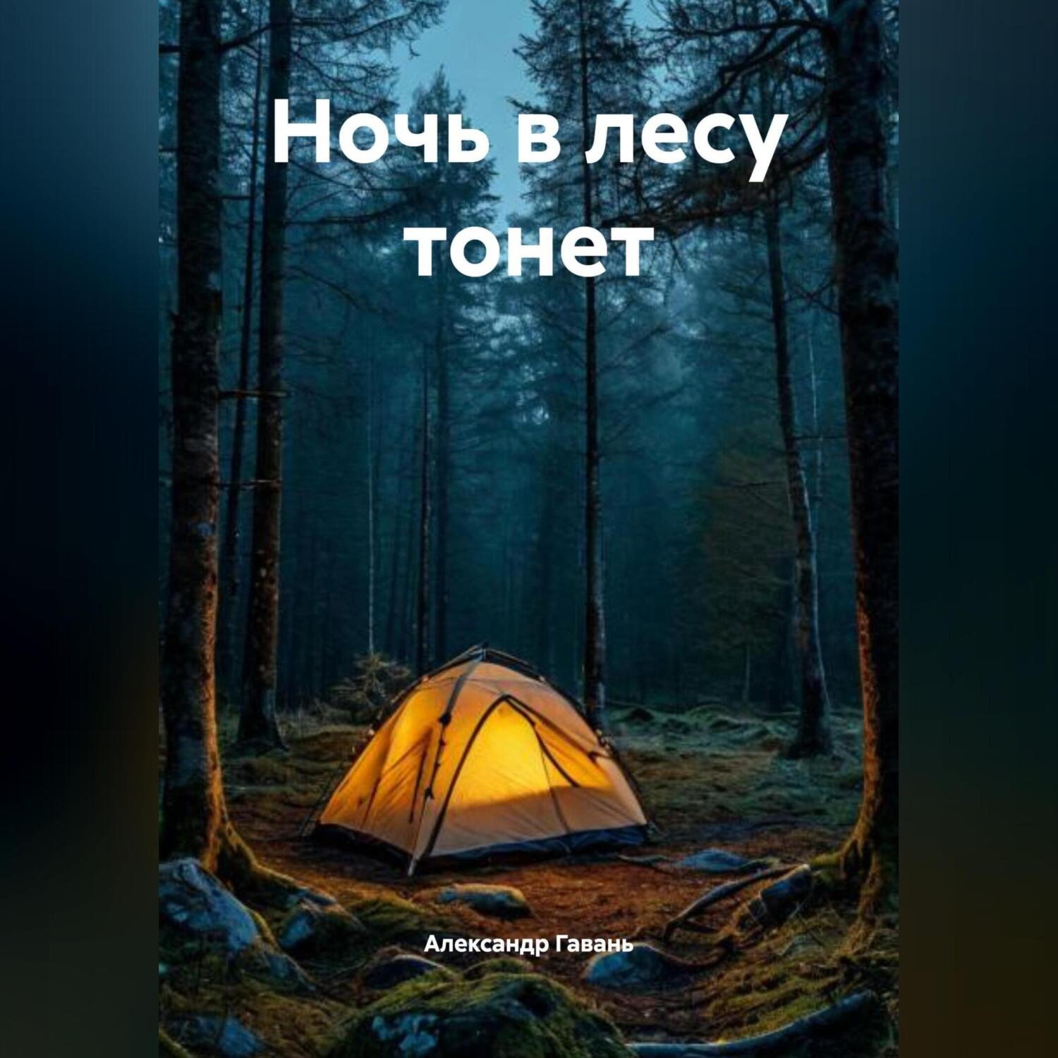Обложка книги «Ночь в лесу тонет»