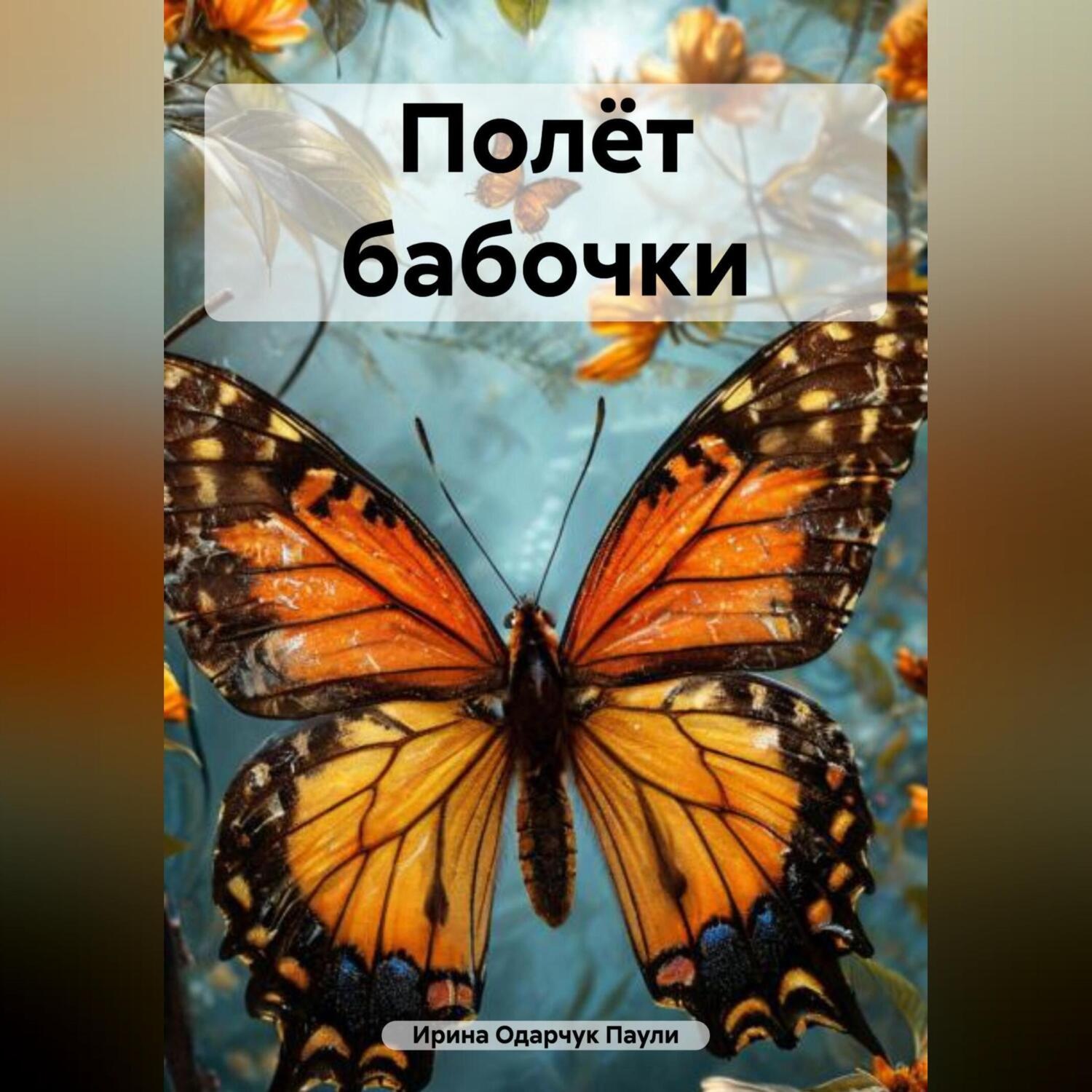 Обложка книги «Полёт бабочки»