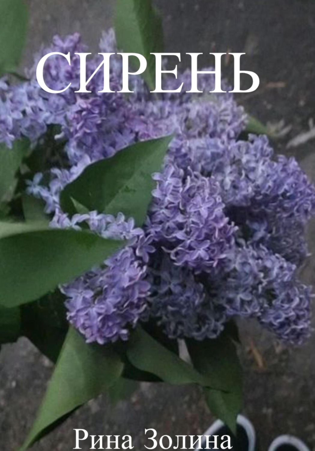 Обложка книги «Сирень»