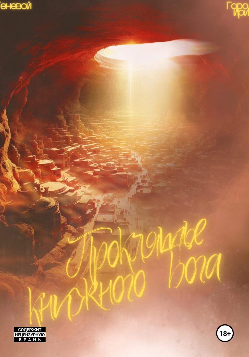 Обложка книги «Проклятие книжного бога. Город Ирий»