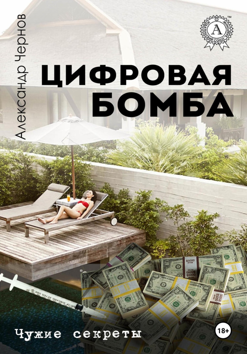Обложка книги «Цифровая бомба»