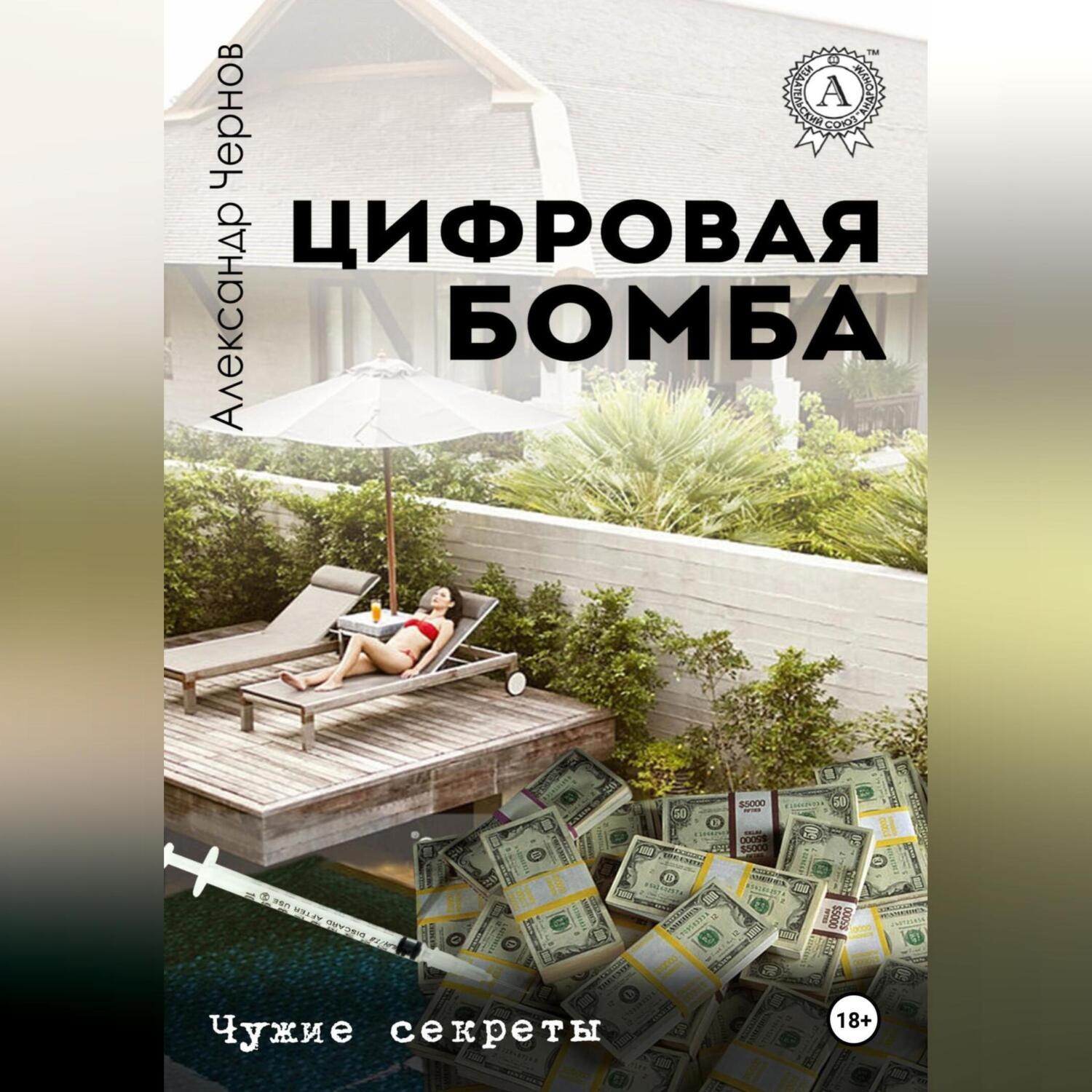 Обложка книги «Цифровая бомба»