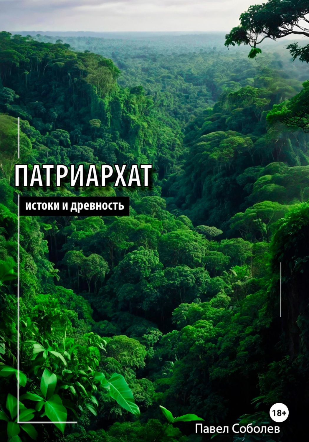 Обложка книги «Патриархат: истоки и древность»