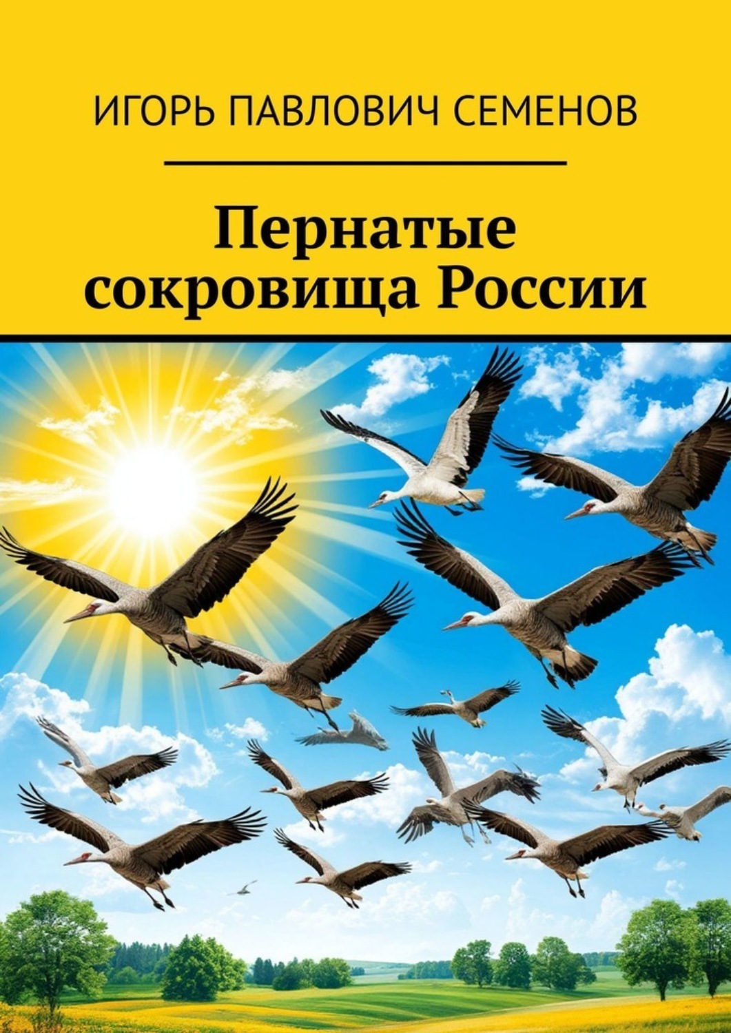 Обложка книги «Пернатые сокровища России»