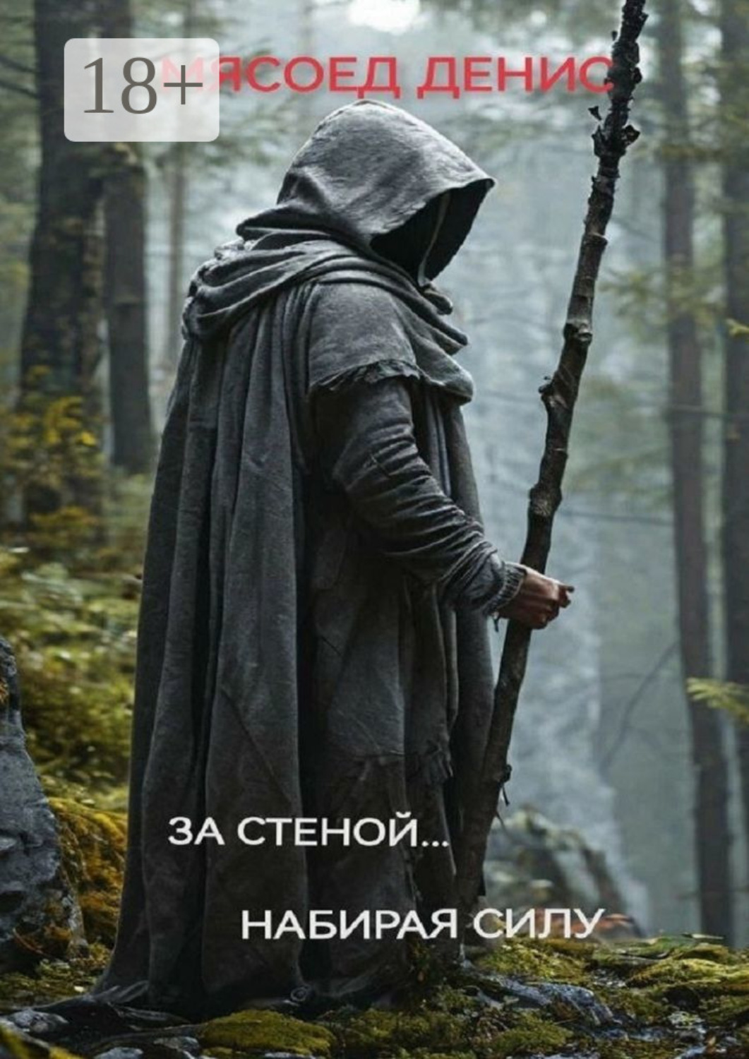 Обложка книги «За стеной… Набирая силу»