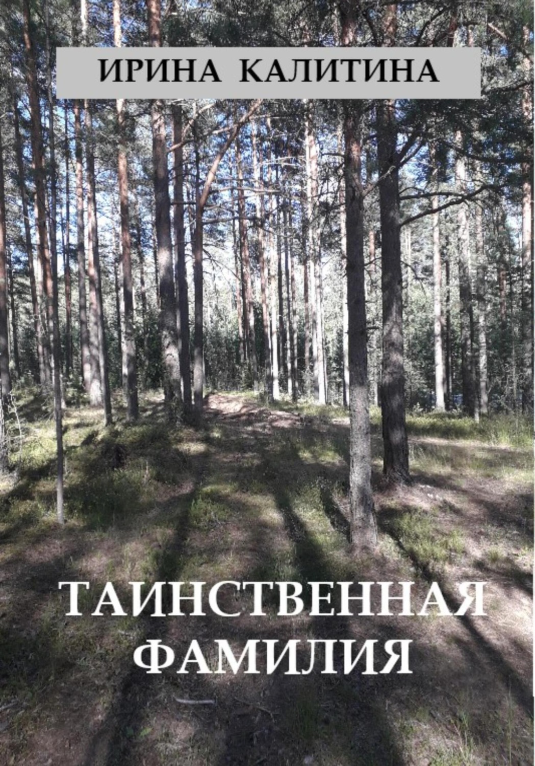 Обложка книги «Таинственная фамилия»