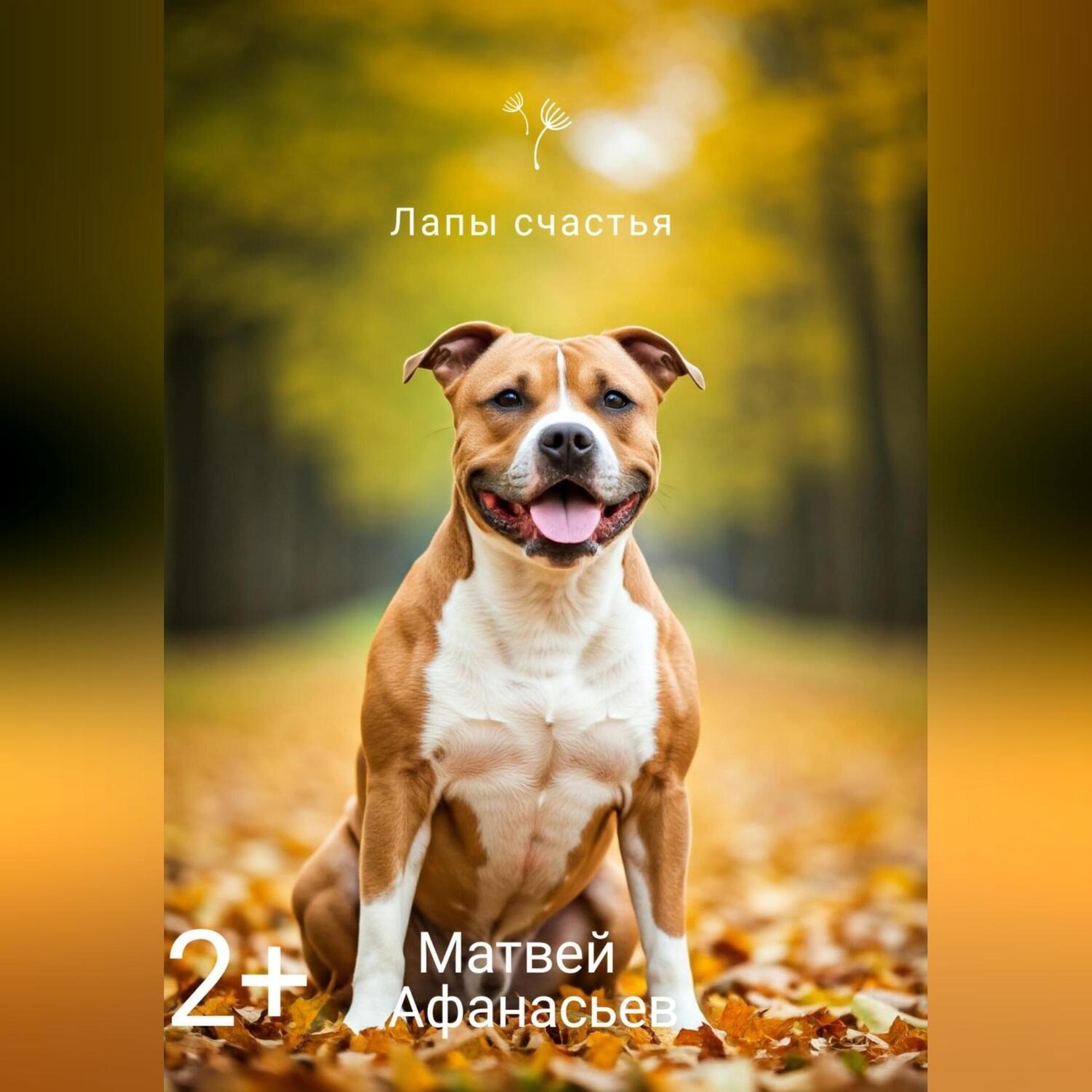 Обложка книги «Лапы счастья»