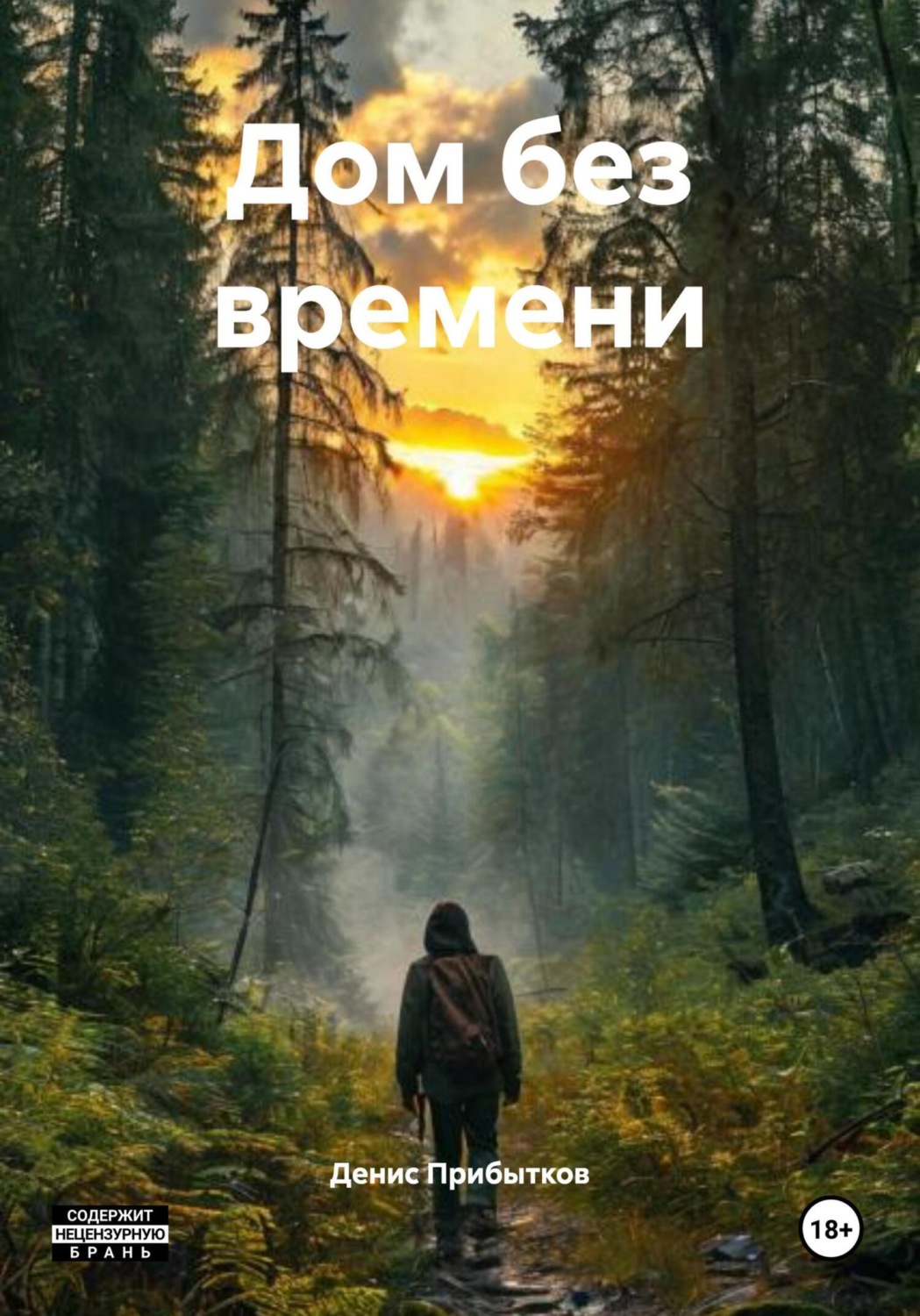 Обложка книги «Дом без времени»