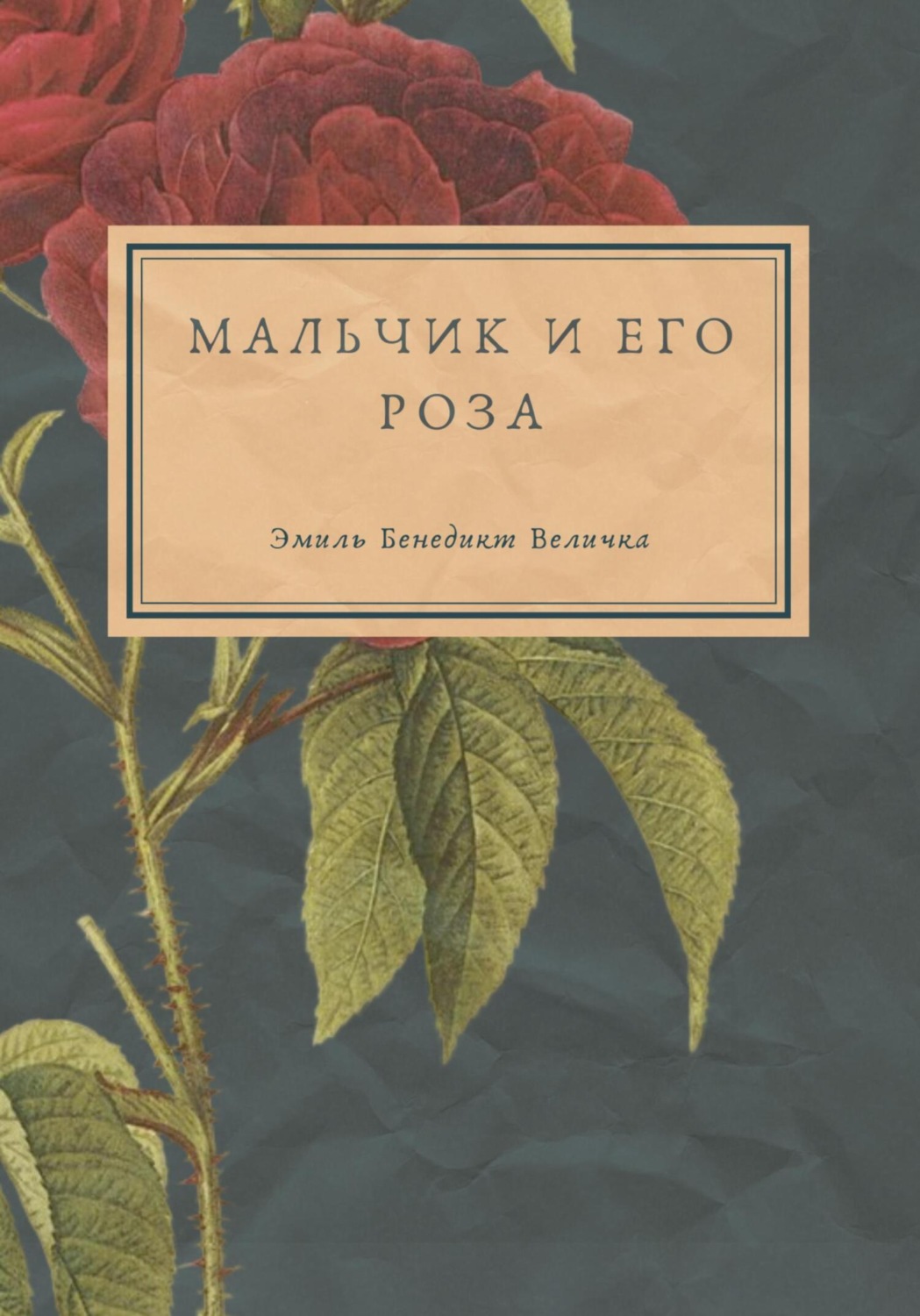 Обложка книги «Мальчик и его роза»