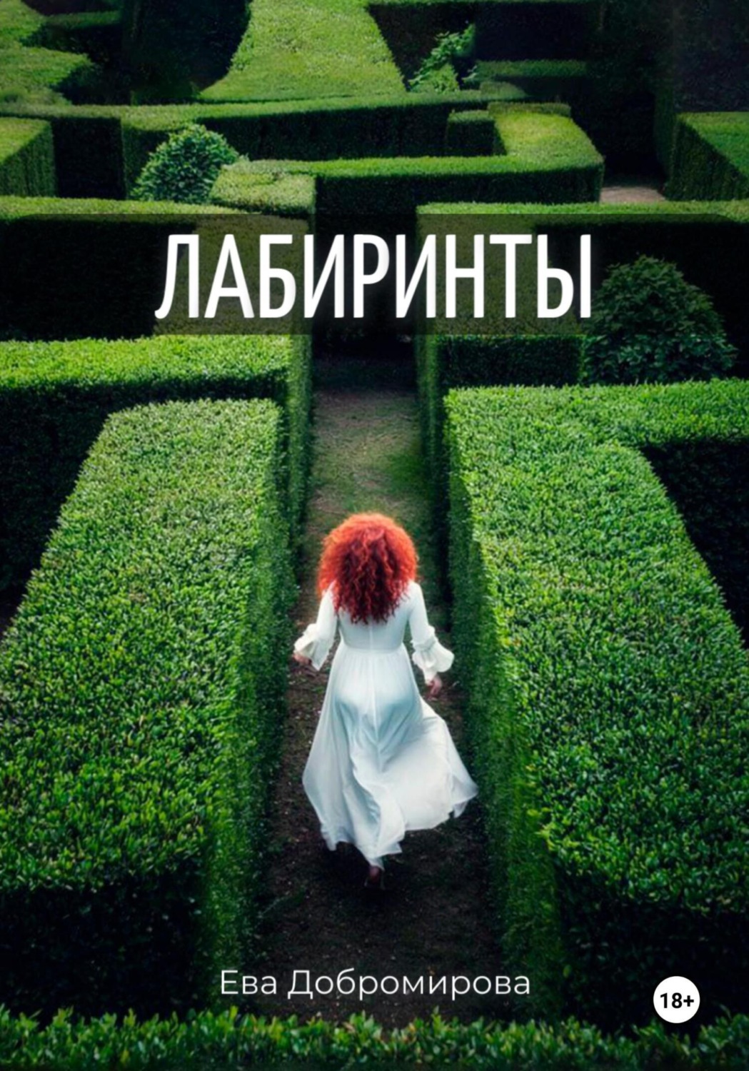 Обложка книги «Лабиринты»