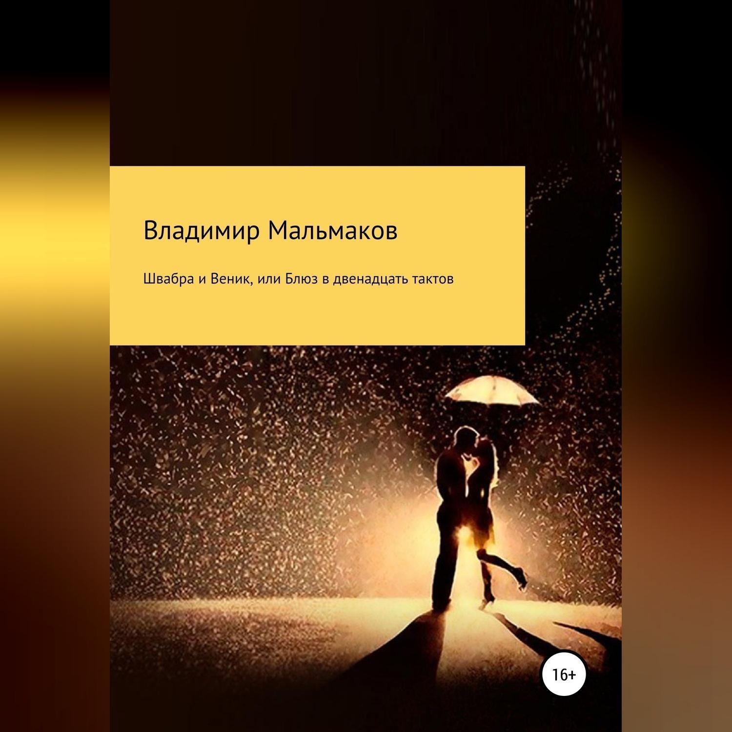Обложка книги «Швабра и Веник, или Блюз в двенадцать тактов»