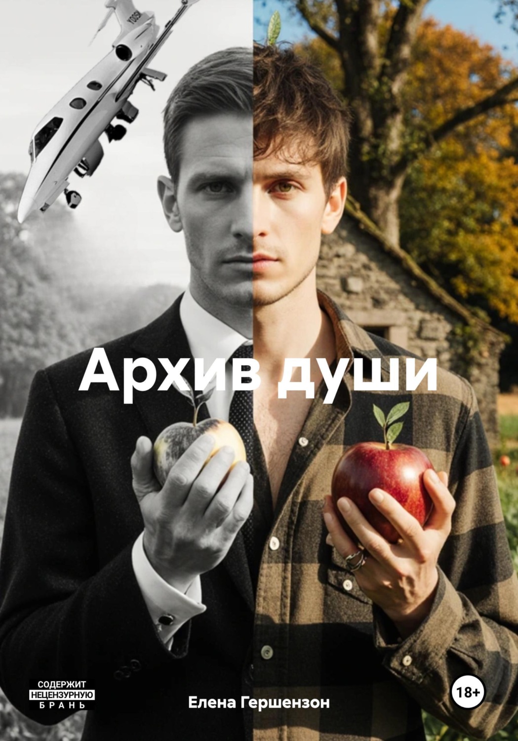 Обложка книги «Архив души»