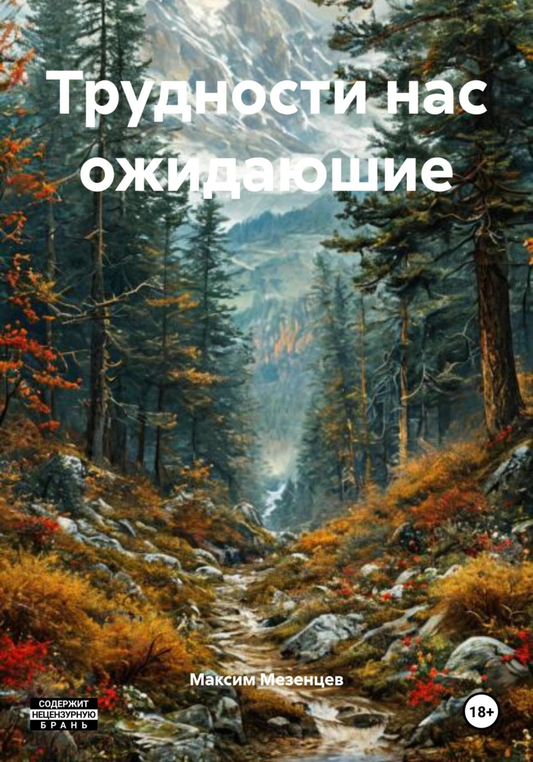Обложка книги «Трудности нас ожидаюшие»