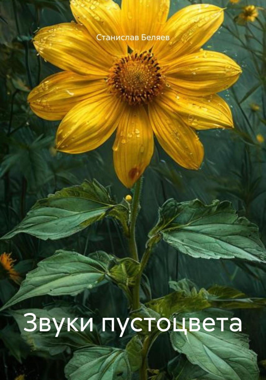 Обложка книги «Звуки пустоцвета»