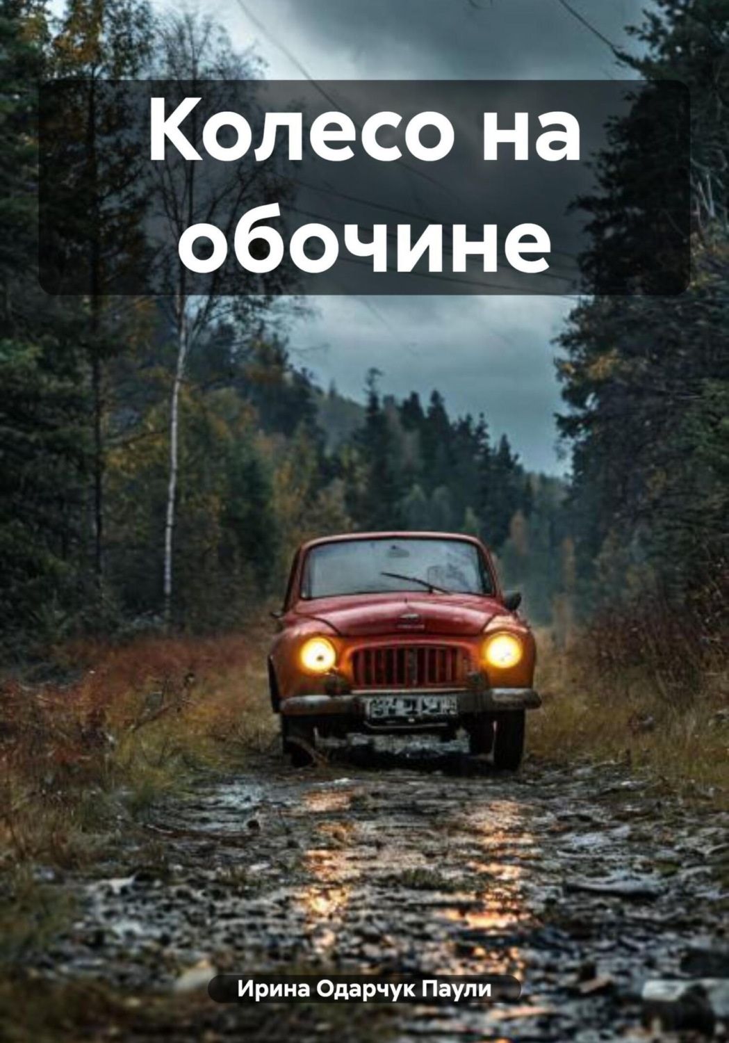 Обложка книги «Колесо на обочине»