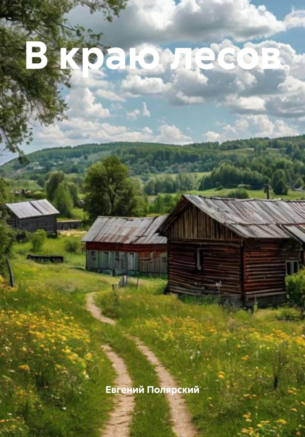 Обложка книги «В краю лесов»