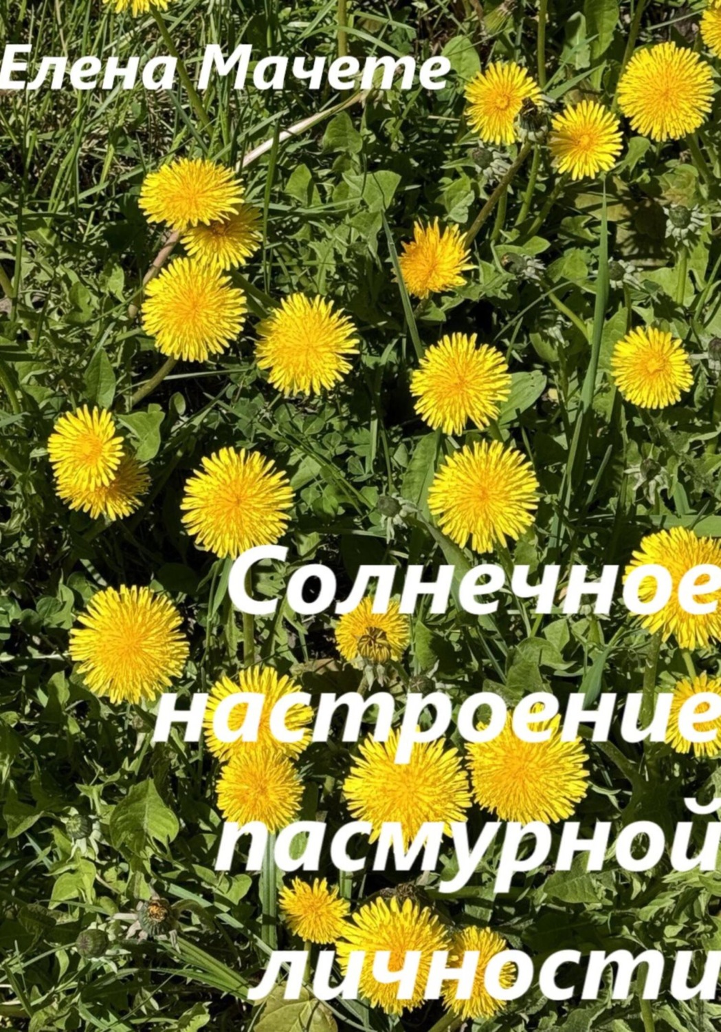 Обложка книги «Солнечное настроение пасмурной личности»