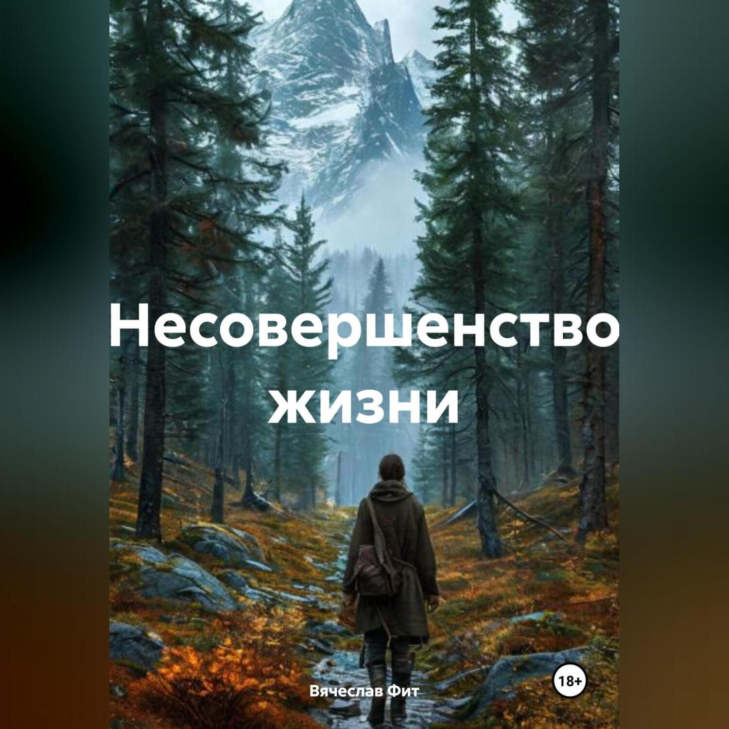 Обложка книги «несовершенство жизни»