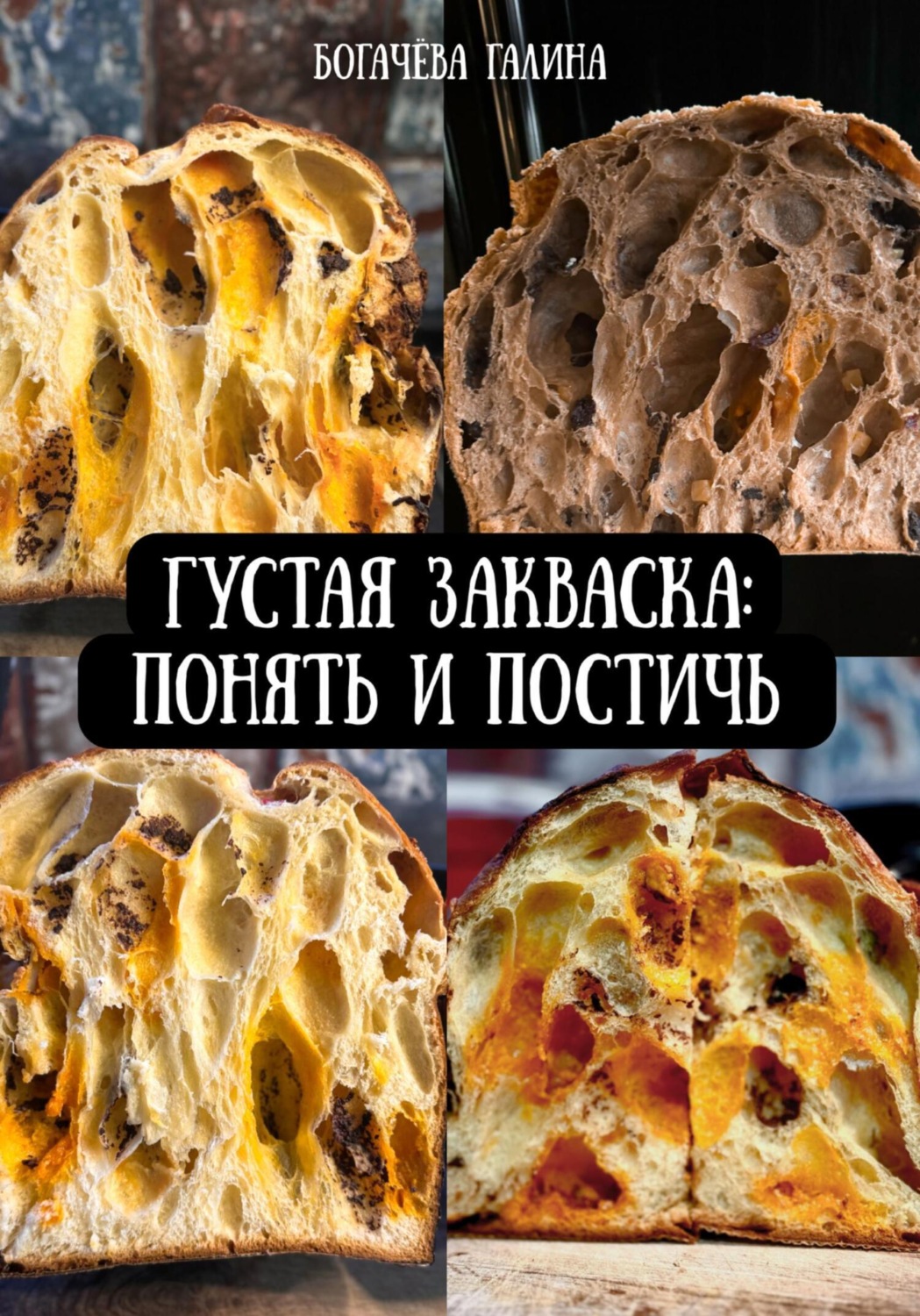 Обложка книги «Густая Закваска: Понять и Постичь»